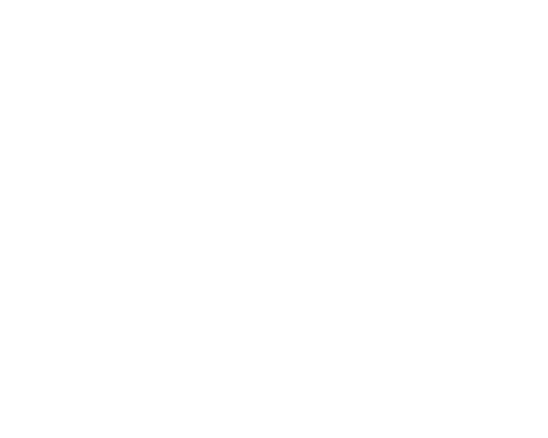 briggs stratton logo
